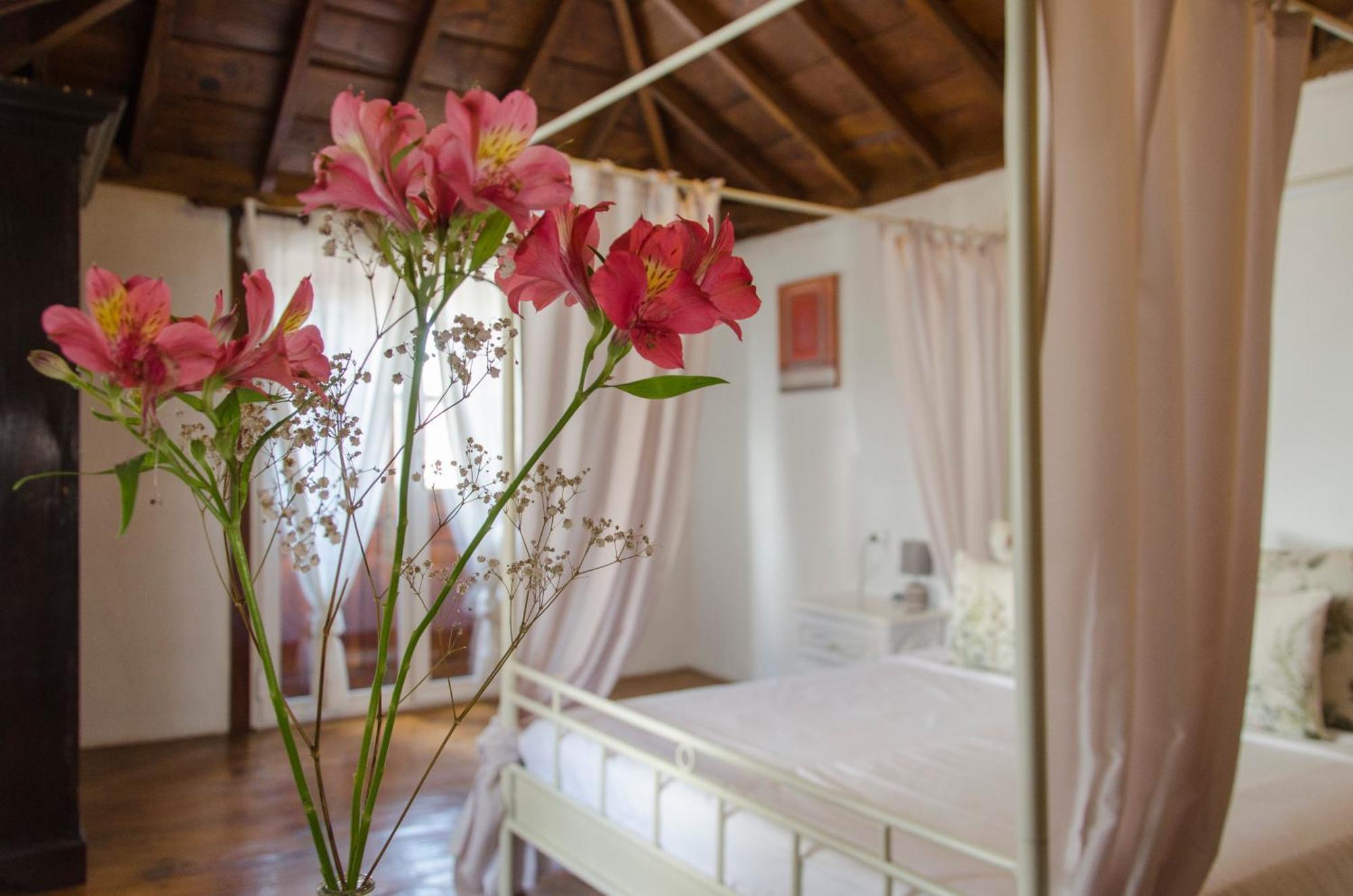 Güimar Hotel Rural Casona Santo Domingo מראה חיצוני תמונה